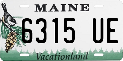ME license plate 6315UE