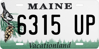 ME license plate 6315UP
