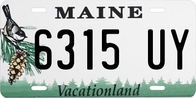 ME license plate 6315UY