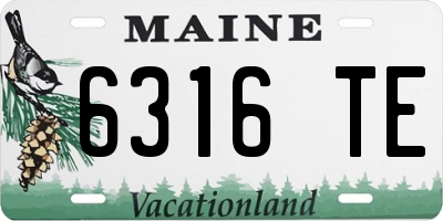ME license plate 6316TE