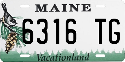 ME license plate 6316TG