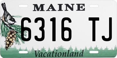ME license plate 6316TJ