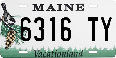 ME license plate 6316TY