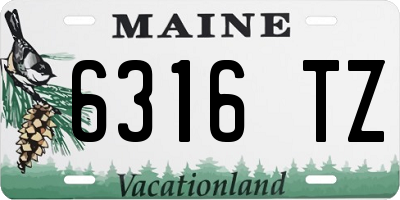 ME license plate 6316TZ