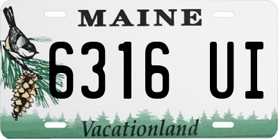 ME license plate 6316UI