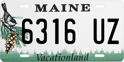 ME license plate 6316UZ