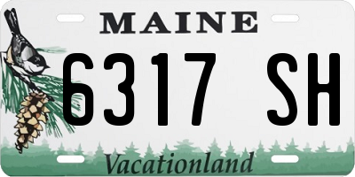 ME license plate 6317SH