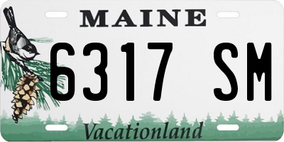 ME license plate 6317SM