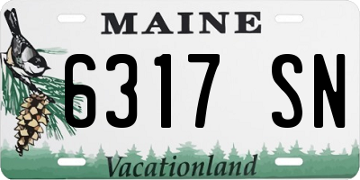 ME license plate 6317SN