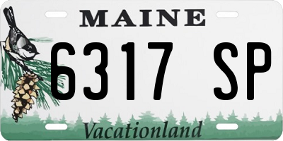 ME license plate 6317SP
