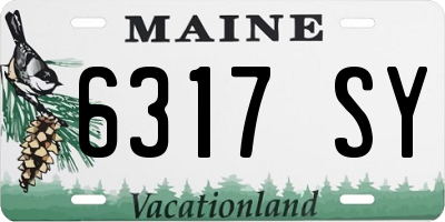 ME license plate 6317SY