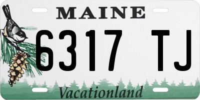ME license plate 6317TJ