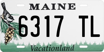 ME license plate 6317TL