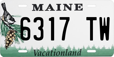 ME license plate 6317TW