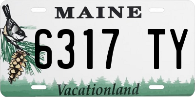 ME license plate 6317TY