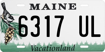 ME license plate 6317UL