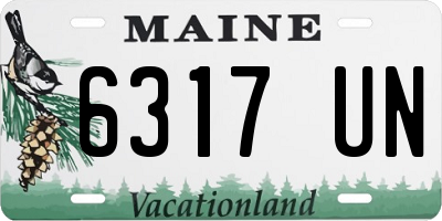 ME license plate 6317UN