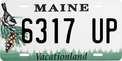 ME license plate 6317UP