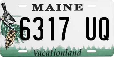 ME license plate 6317UQ