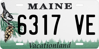 ME license plate 6317VE