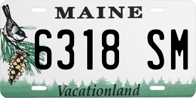 ME license plate 6318SM