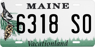 ME license plate 6318SO