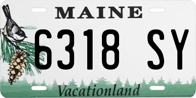 ME license plate 6318SY