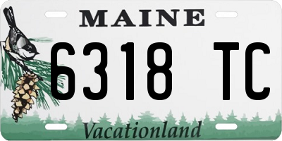 ME license plate 6318TC