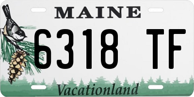 ME license plate 6318TF