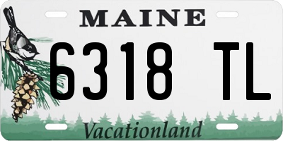 ME license plate 6318TL