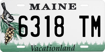 ME license plate 6318TM