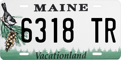 ME license plate 6318TR