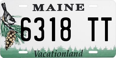 ME license plate 6318TT
