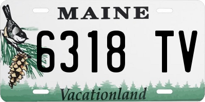 ME license plate 6318TV