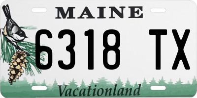 ME license plate 6318TX