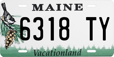 ME license plate 6318TY