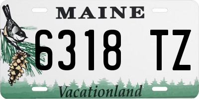 ME license plate 6318TZ
