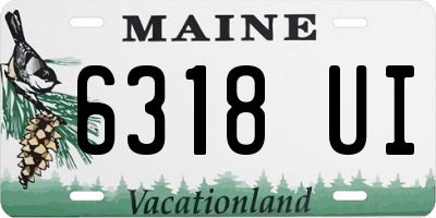 ME license plate 6318UI