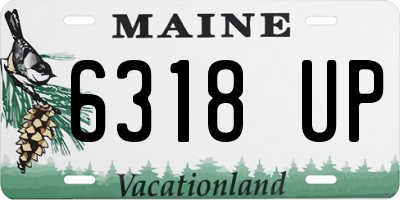 ME license plate 6318UP