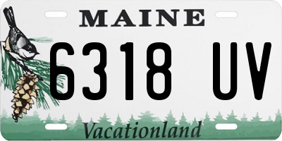 ME license plate 6318UV