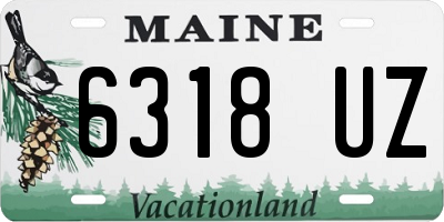 ME license plate 6318UZ