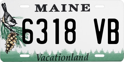 ME license plate 6318VB