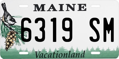 ME license plate 6319SM