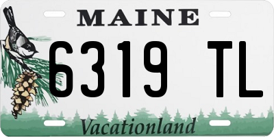 ME license plate 6319TL