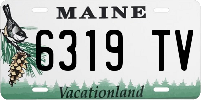 ME license plate 6319TV