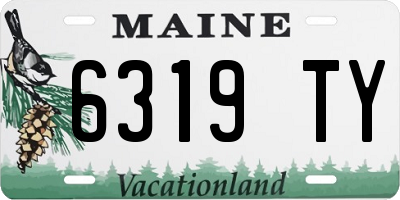 ME license plate 6319TY