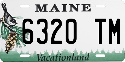 ME license plate 6320TM