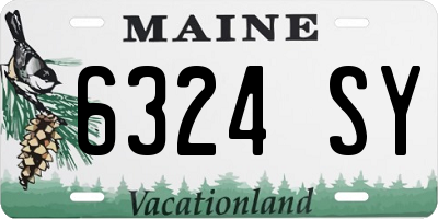 ME license plate 6324SY