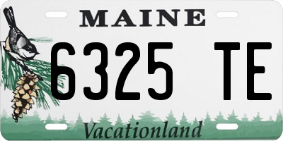 ME license plate 6325TE