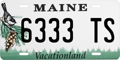 ME license plate 6333TS